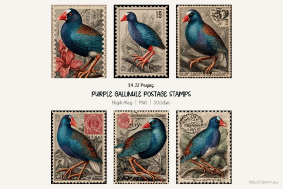 Download Purple Gallinule Postage Stamps 24 Png - Purple Collection